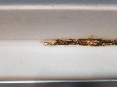 擦らず楽々強力カビ取り剤「MoldZERO(R)」 2本セット 掃除 カビ取り 除菌 抗菌 モールドゼロ モルドゼロ Mold ZERO【雑貨 日用品 人気 おすすめ 】