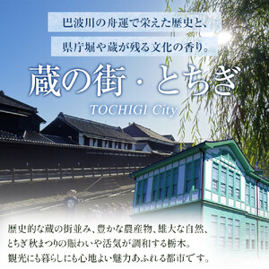 【minca】栃木レザーのブックカバー 文庫本サイズ 本革 /Book cover 01/キャメル　490【玩具 雑貨 日用品 人気 おすすめ 】