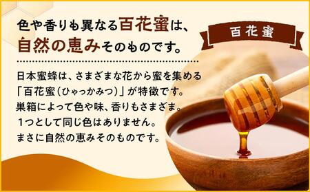 日本蜜蜂のハチミツ100％！はちみつ（1本）  高級 自然食品 無添加 ニホンミツバチ