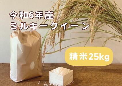 【令和4年産】栃木市岩舟町産ミルキークイーン25kg【精米】