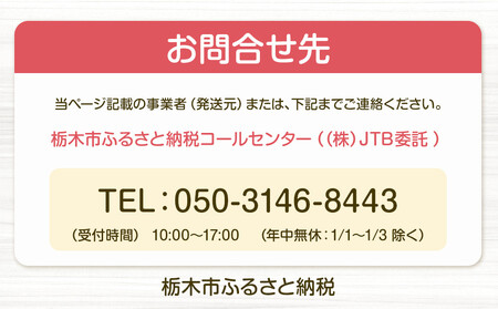 【先行予約受付】≪2026年2月発送≫【数量限定！】「完熟 朝摘み」原宿ベリー  約250g×2パック | いちご イチゴ 栃木【フルーツ 果物 くだもの 食品 人気 おすすめ 】