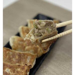 肉汁爆発！特製プレミアム肉餃子【食品 加工食品 人気 おすすめ 】