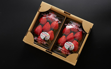 新品種栃木県佐野産とちあいか 280g×2パック_果物・フルーツ いちご イチゴ 苺_【配送不可地域:離島・沖縄県】【1372413】