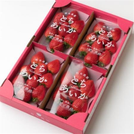 いちご生産量日本一栃木県産【春いちご】大粒『とちあいか』(300g×4パック)_いちご 苺 とちあいか 大粒 食べ比べ 人気 おすすめ 送料無料 贈答 ギフト 栃木 佐野 冷蔵 春いちご_【配送不可地域：離島】【1495823】