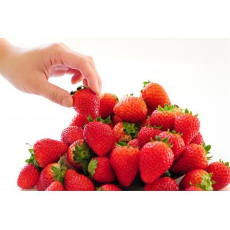 いちご生産量日本一栃木県産【春いちご】大粒『とちあいか』(300g×4パック)_いちご 苺 とちあいか 大粒 食べ比べ 人気 おすすめ 送料無料 贈答 ギフト 栃木 佐野 冷蔵 春いちご_【配送不可地域：離島】【1495823】