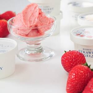 栃木のいちご4品種 ジェラート詰め合わせ 6個_菓子・スイーツ アイス・ジェラート  _【配送不可地域：離島】【1514459】