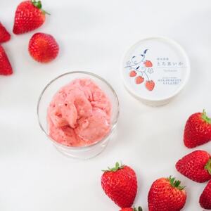 栃木のいちご4品種 ジェラート詰め合わせ 6個_菓子・スイーツ アイス・ジェラート  _【配送不可地域：離島】【1514459】