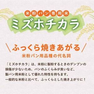 お米の粉ミズホチカラ パン用450g×10袋_粉 パン用 おすすめ 人気 送料無料 国産米粉 グルテンフリー ホームベーカリー 米粉 ミズホチカラ_【1559022】