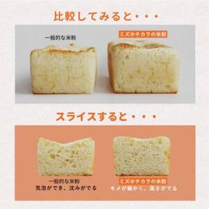 お米の粉ミズホチカラ パン用450g×10袋_粉 パン用 おすすめ 人気 送料無料 国産米粉 グルテンフリー ホームベーカリー 米粉 ミズホチカラ_【1559022】