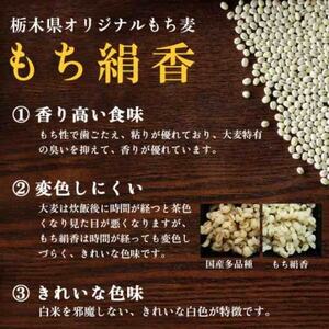 栃木県産もち絹香 800g×5袋_  穀物加工品 _【1559028】