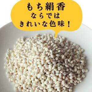 栃木県産もち絹香 800g×5袋_  穀物加工品 _【1559028】