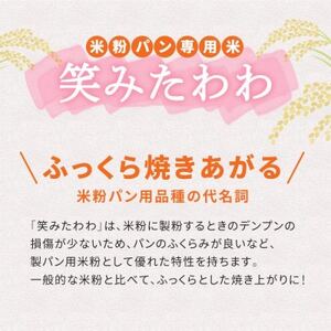 お米の粉V3　笑みたわわ使用 800g×2袋_  穀物加工品 _【1588845】