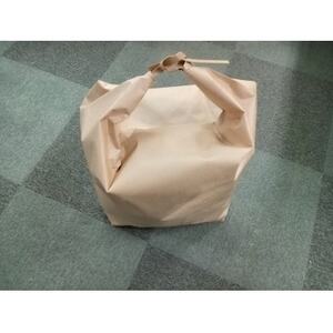 無印米袋30kg×100枚_装飾品・工芸品 鞄・バッグ かばん カバン_【1589307】