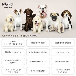 ペット用ウェットシート 個包装紙おしぼり WANPO 50本【1609114】