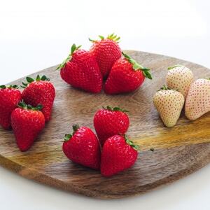 栃木のいちご食べ比べ!「2品種以上組み合わせ!」セット(260g×4パック)【配送不可地域：離島】【1616772】