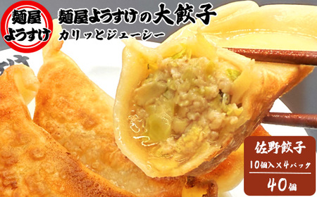 麺屋ようすけ大餃子10個入り×4袋【配送不可地域：離島】【1645303】