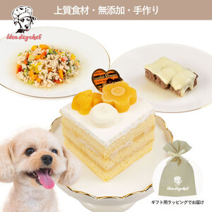 【マンゴーのショートケーキセット】犬のケーキ・ごはん 無添加 手作り Idea dog chef【配送不可地域：離島】【1660625】