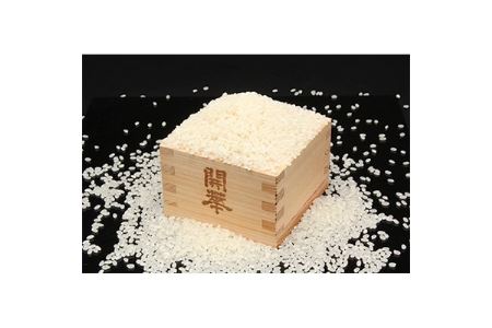 【無添加、砂糖不使用、ノンアルコール】　蔵人が育てた米で造った麹の甘酒900ml×6本【1086819】
