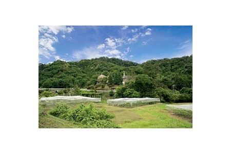 6月の森「ビーフシチュー」2個_惣菜・加工品 シチュー _【配送不可地域:離島】【1115375】