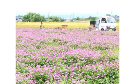 季節の花のはちみつ 150g 2本セット 栃木県佐野市 ふるさと納税サイト ふるなび