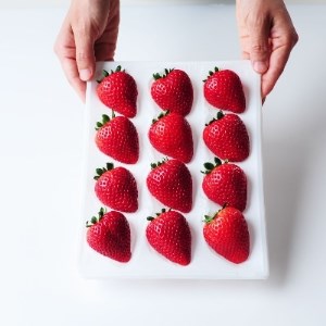 超厳選　大粒『とちあいか』　(450g×2パック)_果物・フルーツ いちご  イチゴ 苺_【配送不可地域：離島】【1239315】