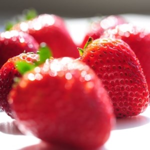 超厳選　大粒『とちあいか』　(450g×2パック)_果物・フルーツ いちご  イチゴ 苺_【配送不可地域：離島】【1239315】