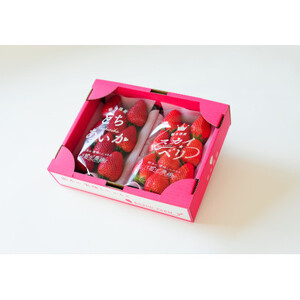 豪華!栃木イチゴ2種(スカイベリー・とちあいか)大粒 食べ比べセット(300g×2パック)_いちご 苺 果物 フルーツ くだもの スカイベリー とちあいか 大粒 食べ比べ セット 人気 おすすめ 送料無料 贈答 ギフト_【配送不可地域:離島・沖縄県】【1366974】