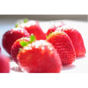 豪華!栃木イチゴ2種(スカイベリー・とちあいか)大粒 食べ比べセット(300g×2パック)_いちご 苺 果物 フルーツ くだもの スカイベリー とちあいか 大粒 食べ比べ セット 人気 おすすめ 送料無料 贈答 ギフト_【配送不可地域:離島・沖縄県】【1366974】