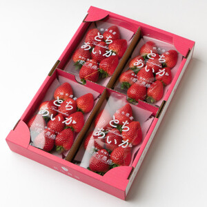 ルビーの輝き!!いちご王国栃木の新品種 大粒『とちあいか』(300g×4パック)_いちご 苺 フルーツ 果物 くだもの とちあいか 栃木 新品種 人気 おすすめ 送料無料 ギフト 贈答 4パック_【配送不可地域:離島】【1383194】