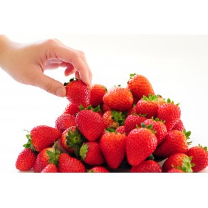 ルビーの輝き!!いちご王国栃木の新品種 大粒『とちあいか』(300g×4パック)_いちご 苺 フルーツ 果物 くだもの とちあいか 栃木 新品種 人気 おすすめ 送料無料 ギフト 贈答 4パック_【配送不可地域:離島】【1383194】