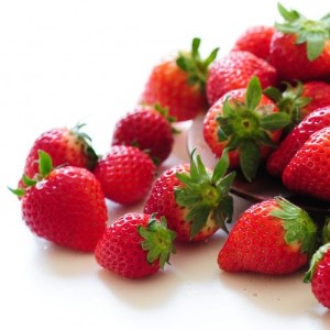 香りと酸味が魅力!!日本の定番『とちおとめ』 (260g×4パック)_果物・フルーツ いちご イチゴ 苺_【配送不可地域:離島】【1386436】