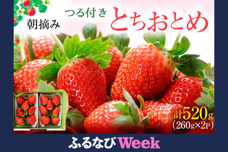 【ふるなびWEEK対象】つる付き とちおとめ 2パック箱（3月～5月発送） FN-Limited-PR ｜ いちご 果物 フルーツ 苺 イチゴ くだもの 朝取り 新鮮 美味しい 甘い ※2025年3月上旬～5月中旬頃に順次発送予定