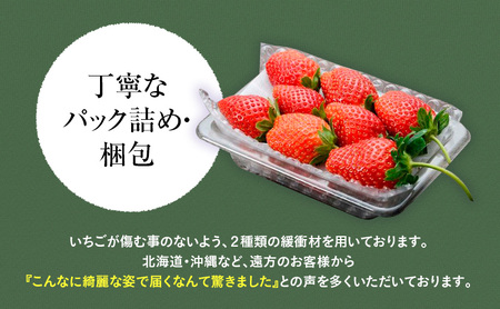 【先行予約】つる付きとちあいか 大粒プレミアム 2パック （2026年2月上旬～2月中旬発送） | いちご