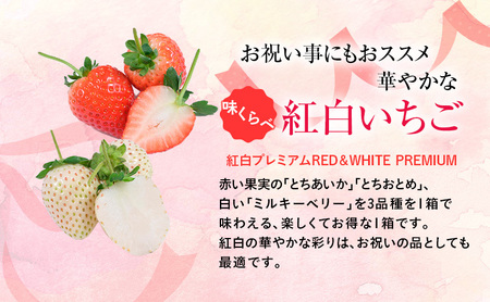 紅白いちご 3種 4パック （2026年2月中旬～2月下旬） とちあいか ミルキーベリー とちおとめ