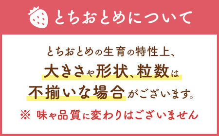 いちご とちあいか×とちおとめ 4パック（2026年2月上旬～2月中旬）