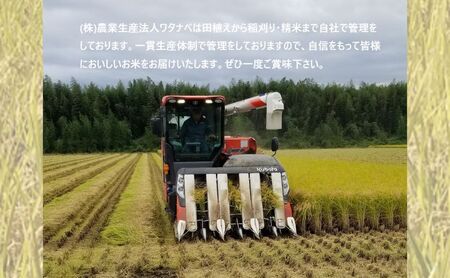 栃木産とちぎの星無洗米10kg 栃木県鹿沼市産 とちぎの星 無洗米 10kg（5kg×2袋） 令和6年産