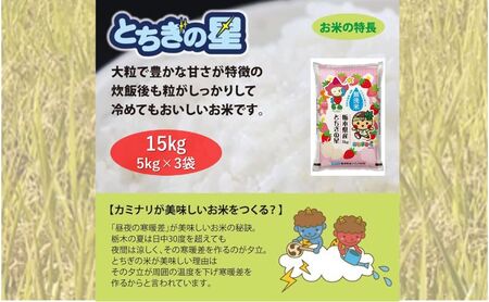 栃木県鹿沼市産 とちぎの星 無洗米 15kg（5kg×3袋） 令和5年産 水稲うるち精米 単一原料米 お米  特A 大粒