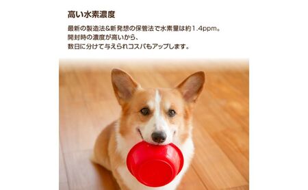 水 水素水 ペットの水素水 550mL×10本 1箱 ミネラルゼロ 犬用 猫用 散歩 持ち運び 飲み切りサイズ ペット用品 下部尿路ケア 保存水 アルミ容器 備蓄用 災害時 飲料類 ミネラルウォーター 