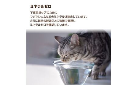 水 水素水 ペットの水素水 550mL×10本 1箱 ミネラルゼロ 犬用 猫用 散歩 持ち運び 飲み切りサイズ ペット用品 下部尿路ケア 保存水 アルミ容器 備蓄用 災害時 飲料類 ミネラルウォーター 