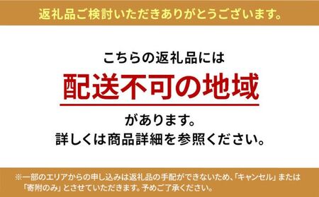 【先行予約】アジサイ エンジェルリング ｜ 花 あじさい 紫陽花 5寸鉢 ギフト 鹿沼市 栃木県 ※2026年4月下旬～5月下旬頃に順次発送予定