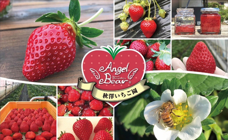 ロールケーキ 濃いちごロールケーキ 6個入り | イチゴ スイーツ デザート とちおとめ 苺 いちご おやつ 菓子 お菓子 洋菓子 ケーキ 濃厚 贅沢 ふわふわ いちごクリーム 鹿沼市 栃木県 米粉スイーツ グルテンフリー