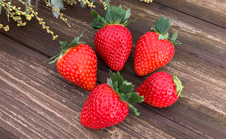 ロールケーキ 濃いちごロールケーキ 6個入り | イチゴ スイーツ デザート とちおとめ 苺 いちご おやつ 菓子 お菓子 洋菓子 ケーキ 濃厚 贅沢 ふわふわ いちごクリーム 鹿沼市 栃木県 米粉スイーツ グルテンフリー