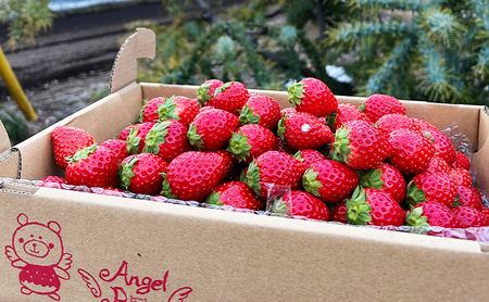 ロールケーキ 濃いちごロールケーキ 6個入り | イチゴ スイーツ デザート とちおとめ 苺 いちご おやつ 菓子 お菓子 洋菓子 ケーキ 濃厚 贅沢 ふわふわ いちごクリーム 鹿沼市 栃木県 米粉スイーツ グルテンフリー