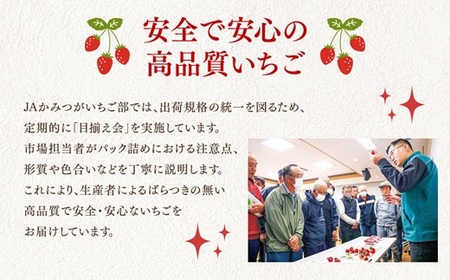 【先行予約】【定期便2回】いちご 320g 2パック | いちご 