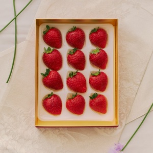 完熟 いちご 450g | いちご オーガニック