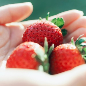 完熟 いちご 400g | いちご※2026年4月上旬頃までに順次発送予定