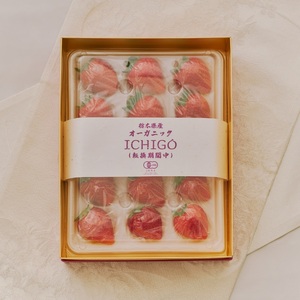 完熟 いちご 400g | いちご※2026年4月上旬頃までに順次発送予定