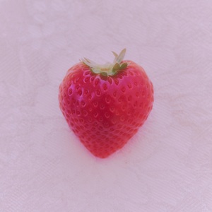 完熟 いちご 850g | いちご 食べ比べ