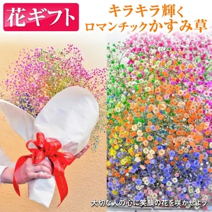 ふわふわブーケ | 生花 花 ギフト ロマンチックかすみ草 七色 輝く カスミソウ カスミ草 かすみそう お祝い プレゼント カラフル 花束 おしゃれ