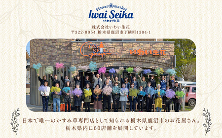 【12ヶ月定期便】毎月届く季節の花束定期便